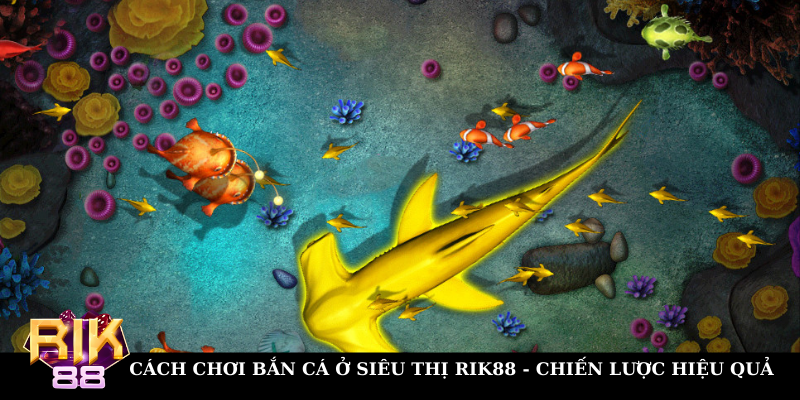 Chiến lược chơi bắn cá ở siêu thị hiệu quả, thắng lớn